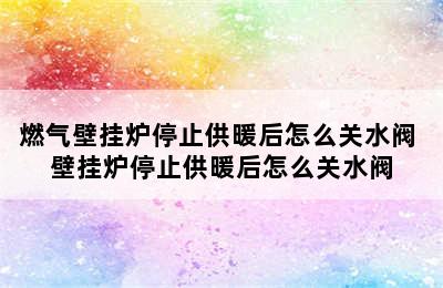 燃气壁挂炉停止供暖后怎么关水阀 壁挂炉停止供暖后怎么关水阀